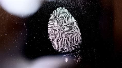 And my biometric. . Case was updated to show fingerprints were taken i131